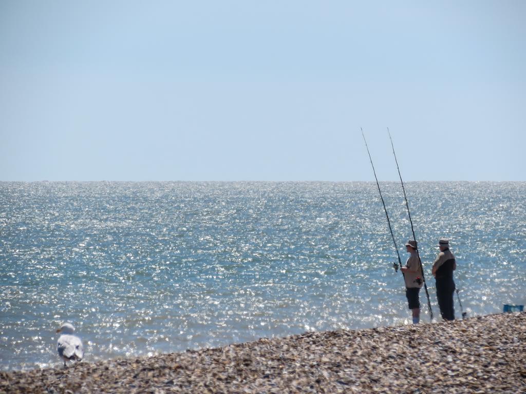 Walnut * Aldeburgh